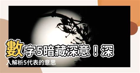 數字5像什麼|【5代表什麼意思】數字5暗藏深意！深入解析5代表的意思